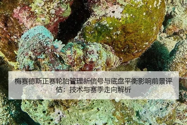 梅赛德斯正赛轮胎管理新信号与底盘平衡影响前景评估：技术与赛季走向解析